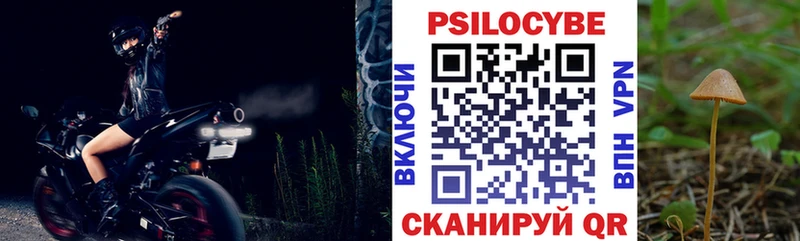 Псилоцибиновые грибы мицелий  Алатырь 