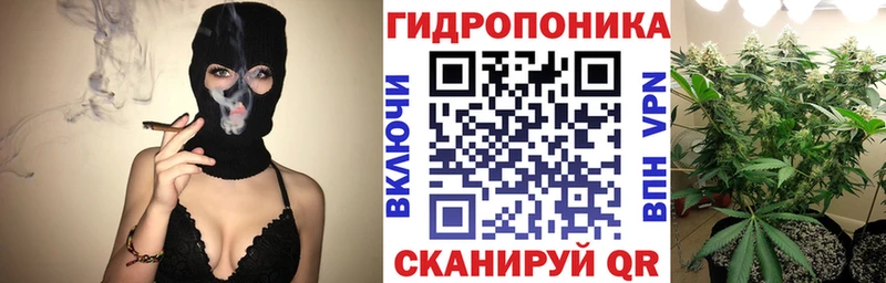 Шишки марихуана семена  Алатырь 